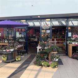 Zinnia Bloemen 2, Spijkenisse openingstijden