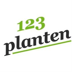 123planten B.V., Nieuwerkerk aan den IJssel openingstijden