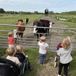 Gastouder Pino, Westzaan openingstijden