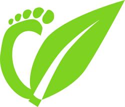 Holy Feet and Beauty, Schiedam openingstijden