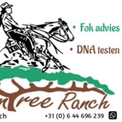 CounTree Ranch, Simonshaven openingstijden
