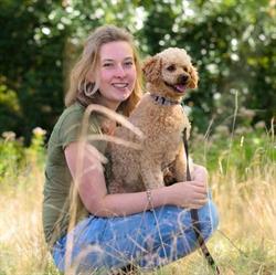 Iris voor Honden, Santpoort-Noord openingstijden