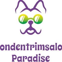 HondenTrimsalon Paradise, Spijkenisse openingstijden