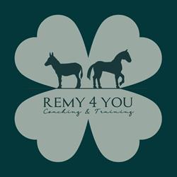 Remy4You, Boxtel openingstijden