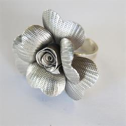 All NiSi Creations, Aalsmeer openingstijden