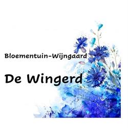De Wingerd, Ommen openingstijden