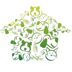 Dierenambulance Hengelo en Borne, openingstijden