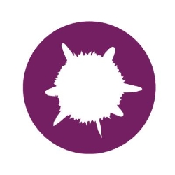 Sirius Smartshop Venlo, openingstijden