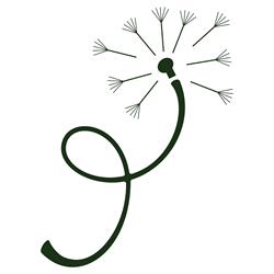 Pelusa, Amsterdam openingstijden