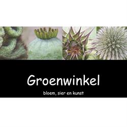 Bloemenspeciaalzaak Groenwinkel - Beuningen, Beuningen Gld openingstijden