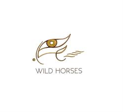 Wild Horses Coaching, Pijnacker openingstijden