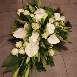Tristell Bloemen & Planten, Vlaardingen openingstijden