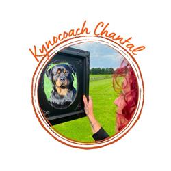 KynoCoach Chantal, Beilen openingstijden