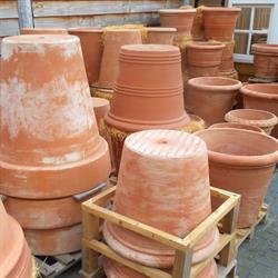 XL Terracotta, Oude Pekela openingstijden