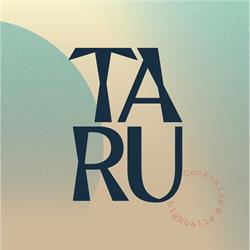TARU, Haarlem openingstijden