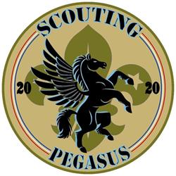 SCOUTING PEGASUS, Velp openingstijden