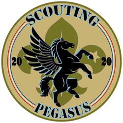 SCOUTING PEGASUS, Velp openingstijden