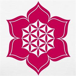 Lotus Health Studio, Maarssen openingstijden