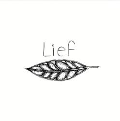 Café Lief, Haarlem openingstijden