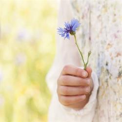 Moments Frozen, Hemelum openingstijden