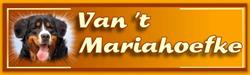 Kennel vt Mariahoefke, Oudenbosch openingstijden
