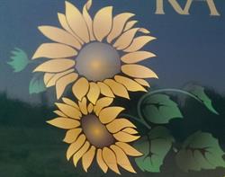 Paula Zomer Bloemen, Hengelo openingstijden
