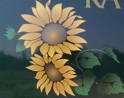 Paula Zomer Bloemen, Hengelo openingstijden
