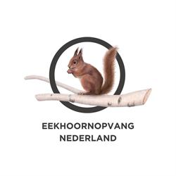 Eekhoornopvang Nederland, Almere openingstijden