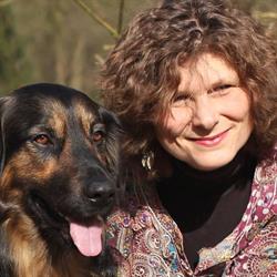 Learn Dutch Fast, Laren openingstijden