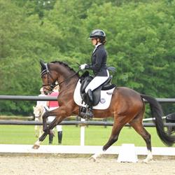 JLHorses, Zuidoostbeemster openingstijden