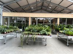 Natuur en Gezondheidcentrum Maarssen, openingstijden