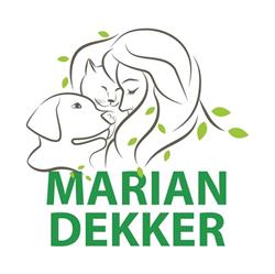 MD Balanscoach, Abbenbroek openingstijden