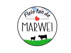 Fleis fan de Marwei, Delfstrahuizen openingstijden