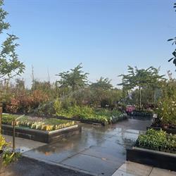 Garden Design, Beverwijk openingstijden