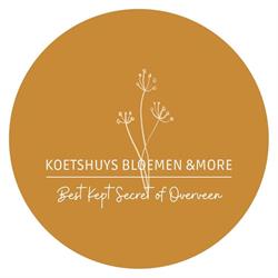 Koetshuys bloemen &more, Overveen openingstijden