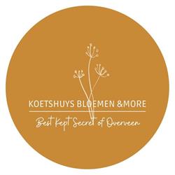 Koetshuys bloemen &more, Overveen openingstijden