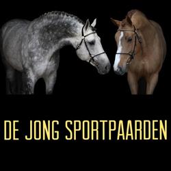 De Jong Sportpaarden, Dokkum openingstijden