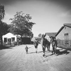 Stal van Kairos, Liessel openingstijden