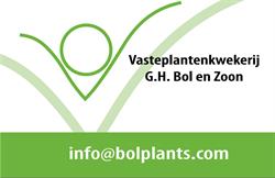 G.H.Bol en Zoon, Noordwijk openingstijden
