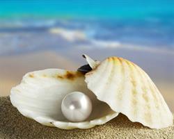 Venuswaxing, Arnhem openingstijden