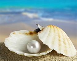 Venuswaxing, Arnhem openingstijden