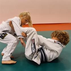 Jiu Jitsu Factory Culemborg, openingstijden