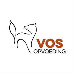 Vos Opvoeding, 's-Gravenhage openingstijden