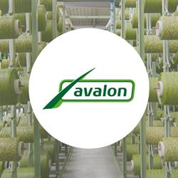 Avalon Grass, Genemuiden openingstijden