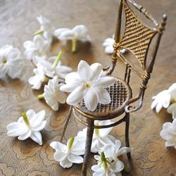Yasmine Thai Wellness, 's-Gravenhage openingstijden