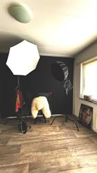 Shotz! by Ries, Winschoten openingstijden