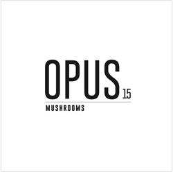 Opus Mushrooms, Amsterdam openingstijden