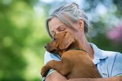 In2Dogs Hondenschool, Ruinen openingstijden