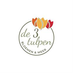 De 3 Tulpen - bloemen & meer, Zwijndrecht openingstijden