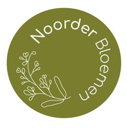 Noorderbloemen, Amsterdam openingstijden